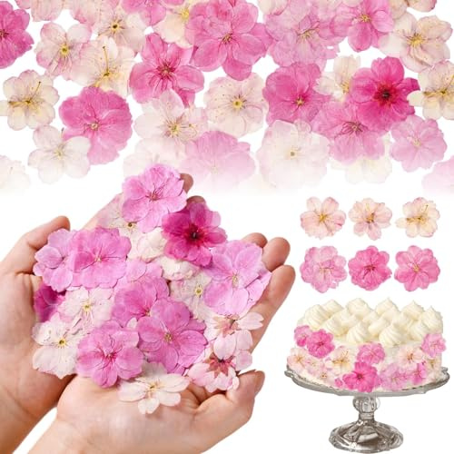 Celblisora 96 Pcs Pink Natural Dried Pressed Edible Flowers for Cake Topper Decorating Cupcake Toppers Cocktails Resin Jewelry Making DIY Art Crafts