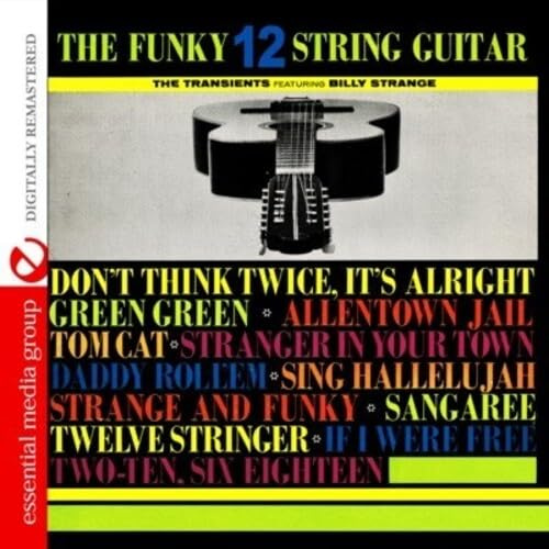 Funky 12 String Guitar