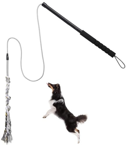 Flirt Pole Für Welpen Hunde,Interaktive Jagd und Zerrspielzeug Im Freien Hundespielzeug,Reizangel Chase Spielzeug mit Seil,Ianglebig Stick Pole für Hunde im Freien Agilität Übung & Hundetraining