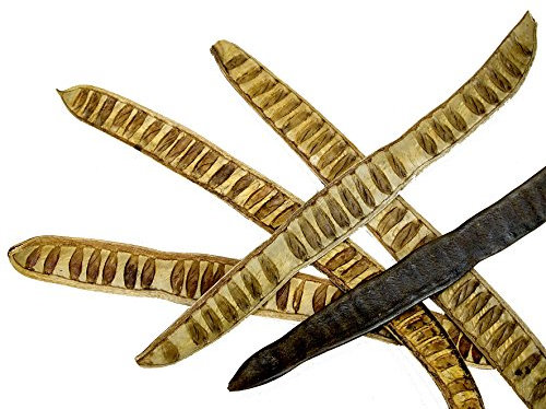 Machete Leiterschote 10 Stück, natur
