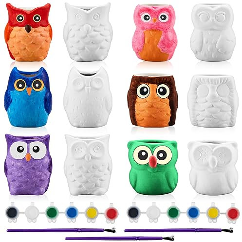 Tanlade 12 Set Paint Your Own Ceramic Planters Mini Owl Ceramic to Paint Succulent Pots 2.5 Inch Bisque Ceramics Unpainted with Drainage Hole Ready to Color Classroom Craft Project Activity