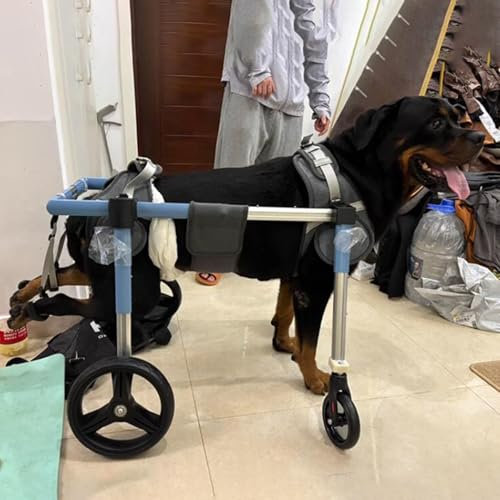 Jievmrs Hunderollstuhl Verstellbarer Haustierwagen für Hunde mit Schwachen Vorder-/Hinterbeinen, 4-Rad-/2-Rad-Mobilitätshilfe für Hunde, Unterstützter Rehabilitationswagen für Hunde(XXL)