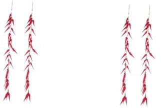 Warmhm 2 Sätze Simulierte Chili-spieße Zitronenpresse Drücken Ölmessbecher Halterungen Für Gardinenstangen Kaffeebohnenspenderflaschen Hängende Pflanzen Platte Tür Rot Plastik 2 Stück * 2