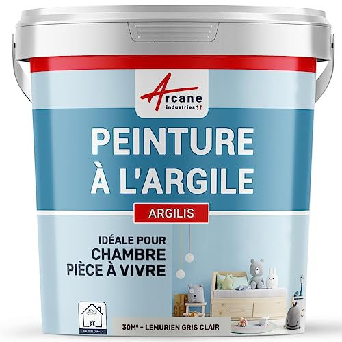 Peinture argile naturelle decoration chambre enfant ARGILIS - 30 m² (5 kg en 1 couche) Lemurien Gris Clair - ARCANE INDUSTRIES