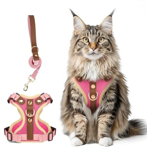 Muecleao Katzengeschirr mit Leine, Leder Weste, Rosenrot, S | Mikrofaser-Leder mit goldenen Nieten, Schnellverschluss, Luftiges Air-Mesh, Reflektierende Streifen, 150 cm Leine inklusive