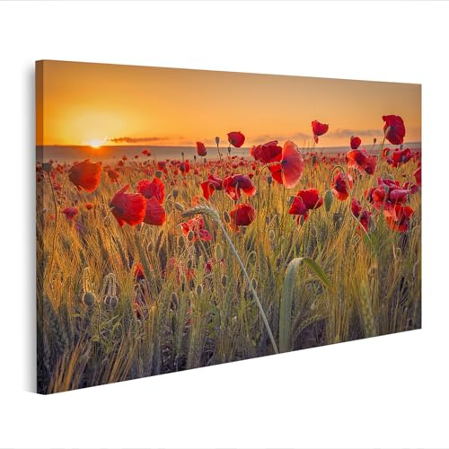 islandburner Leinwandbild Mohn Weizenfeld Schöne Mohn Weizenfeld Sonnenaufgang Tautropfen - Leinwand 80x40cm
