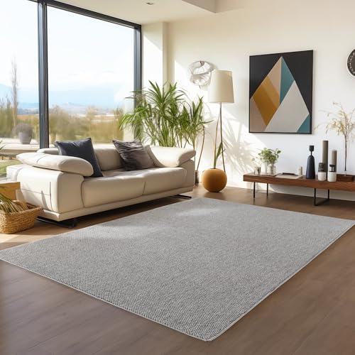 Teppium Teppich 160x230 cm Grau Einfarbig Bouclé Schlingenflor Skandi Stil Modern Superweich Robust Pflegeleicht für Wohnzimmer Sofabereich Esszimmer Schlafzimmer Küche