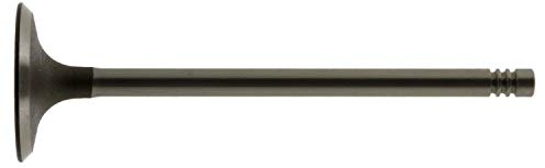 febi bilstein 12823 Einlassventil, 1 Stück | Kompatibel mit: BMW 3, 3, 3 Cabriolet, 3 Cabriolet, 3 Compact, 3 Coupe, 3 Coupe, 3 Touring, 3 Touring, 5, 5, 5 Touring