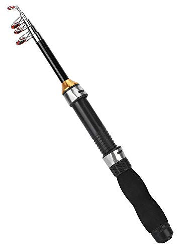 1m Teleskop Angelrute, Tragbare Mini-Taschen-Angelrute Stiftrute Angelrute Eisangelrute Mini-Seeangel-Werkzeuge Einziehbare Jigging-Rute für Reise Meerwasser Süßwasser Bass Forelle Angeln