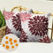 Kissenbezug 40x40 Frühling Moderne Outdoor Kissen Sofakissen Kissenhülle Kissenbezüge Wasserdicht Leinen Sommer Rot Dahlie Blume für Wohnzimmer Schlafzimmer Sofa Garten Terrasse Deko, 2er Set