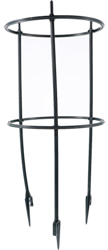 Hohopeti Support Plantes Grimpantes Vertical Extérieur pour Pot de Fleurs Treillis Clématites et Orchidées Rack de Soutien et Stable pour Vignes et Plantes Intérieur