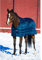 Horseware Rambo Duo Liner Unterdecke Winter 100/ 200/ 300/ 400 g - Größe wählbar (165, 300g.)