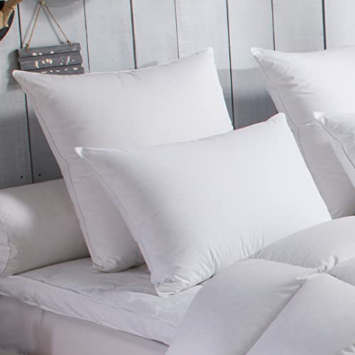DODO - Oreiller 50x70 cm - Soutien Medium - 70% Duvet d'oie Neuf | Anti-acariens - Dormeurs sur le Dos - Enveloppe 100% Percale de Coton - Gonflant & léger - Lavable 40°C