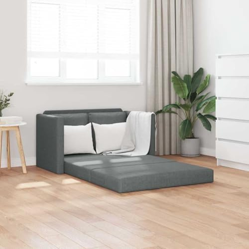 Wynira Bodensofa mit Schlaffunktion Dunkelgrau 112x174x55 cm Stoff 2-Sitzer Schlafsofa Wohnzimmer Couch platzsparendes modernes Mehrzwecksofa mit Metallgestell