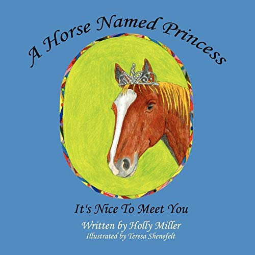 A Horse Named Princess: It's Nice To Meet You by Holly B. Miller (2007-09-14)