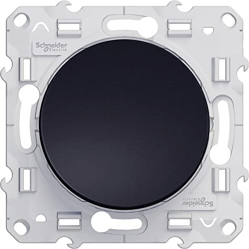 Schneider Electric - Odace, permutateur Anthracite, 10 A, à vis - S540205