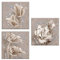 Lupia Set 3 Stück Bilder auf Leinwand Blumenmotiv Canvas Day Brillant mit Glitzer 38 x 38 cm Flower Shabby