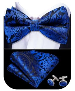 Barry.Wang Mens Blue Bow Tie Paisley Silk Pre-Tied Bowtie Set
