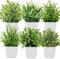 Roqueen 6 Pièces Petit Plantes Artificielles avec Pot, Plastique Mini Faux Plantes pour Table Étagère Salle de Bain Bureaux Maison Décoration