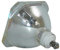 FWRCCMJ Proiettore Compatibile con TV DLP Lampadina Nuda XL-2400 XL-2400U for Sony KDF-42E2000 KDF-46E2000 KDF-50E2000