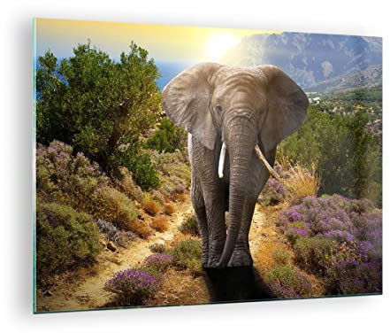 Bilder auf Glas Tiere Afrika Elefanten Spaziergang Glasbild 70x50cm Wandbilder Dekoration Wohnzimmer Schlafzimmer Küche Deko Klein Wanddeko Bild im Glas Wand Kunstdruck Art Modern GAA70x50-2708