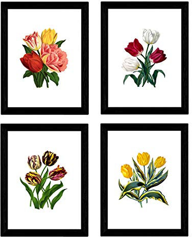 Nacnic Botanische Plakate 4-er Set. Weiß Hintergrund Tulpen Poster Set. Verschiedene Hintergründe zur Auswahl. Größe A3, ohne Rahmen.