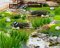Weaeo Garten Gras Wasser Karpfen Teppiche 3D Boden Malerei Schlafzimmer Badezimmer Selbstklebende Bodenpaste 3D Bodenbelag-200X140Cm