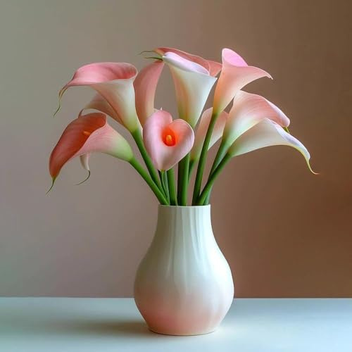 5zwiebeln calla winterhart mehrjährig balkon deko garten blumenzwiebeln, stauden winterhart mehrjährig, winterharte für garten