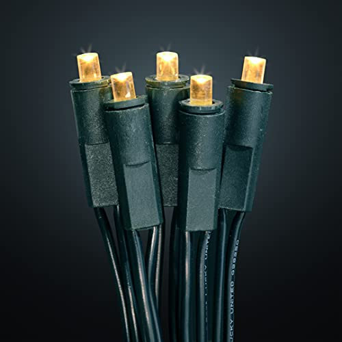 hellum mini LED-Lichterkette innen, Licht, 220V strombetrieben, Innenbeleuchtung, 20er LED beleuchtete Länge 2,85m, Kabel grün Wohnzimmer, 7 cm ø 563214