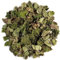 Melisa Orgánica Infusión Hojas - Limón Dulce - Melissa Officinalis - Toronjil - Limoncillo - La Melisa U Hoja De Limón -