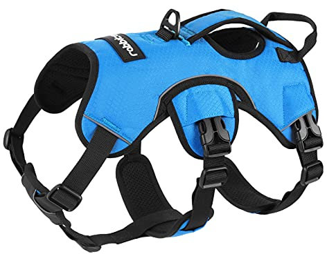 rabbitgoo Ausbruchsicheres Hundegeschirr Mittelgroße Hunde mit Griff, Anti Zug Sicherheitsgeschirr Hund Atmungsaktiv, Verstellbare Brustgeschirr, Gepolstertem Hundeweste, Panikgeschirr, Blau M