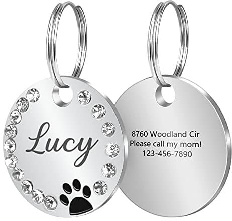 OXYEFEI Chapa Perro Grabada,Etiquetas de Identificación de Mascotas de Acero Inoxidable,Placas Identificativas de Varias formas, Grabado Frontal/Posterior,para Collar Perro Gato Mascota (estilo 3)