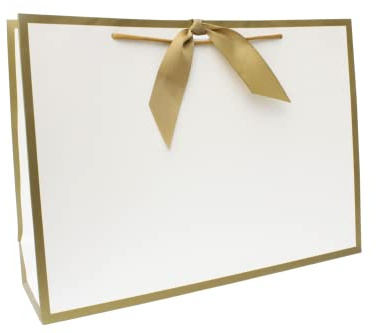 Nu-Nuel Luxury Paper Bag | Matt Laminated Gift Bags with Rope Handles | 2 Large Boutique Gift Bags (2, LARGE - 440x320x120mm)