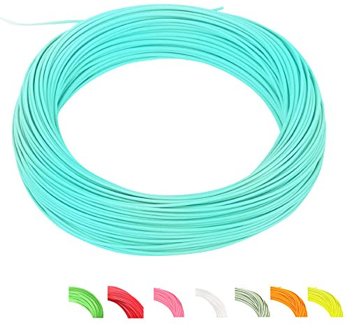MAXIMUMCATCH Bestprice Fliegenfischen Schnur (Weight Forward, Schwimmende Fliegenschnur) und Fliegenschnur Combo mit Backing Vorfach und Tippet (1F/2F/3F/4F/5F/6F/7F/8F/9F/10F) (Blaugrün, WF5F)