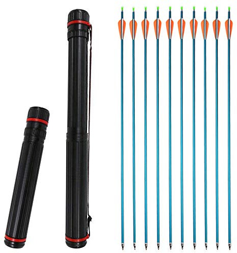 ZSHJGJR 12pcs Aluminiumpfeile Bogenpfeile 31 Zoll Pfeile aus Aluminium Spine 500 Aluminium Pfeile für Recurve Compound Bogen (Blau + Köcher)