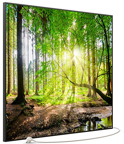 STEINFELD Bild Infrarotheizung mit Thermostat | Made in Germany | viele Motive 350-1200 Watt Rahmen schwarz (1200W, 067 Wald Panorama)