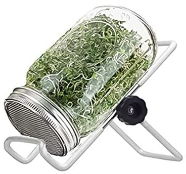 SunaOmni Mason Jars Sprouting Jar Kit Germination Seed Sprouter Set with Lid Stand Mason Jars with Lids Sprouting Jar Sprouting Kit for Growing Broccoli Alfalfa Bean Sprouts 500ml