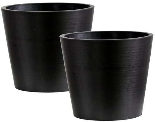 Olly & Rose AG204 Confezione da 2 – Carbone 20,4 cm di diametro