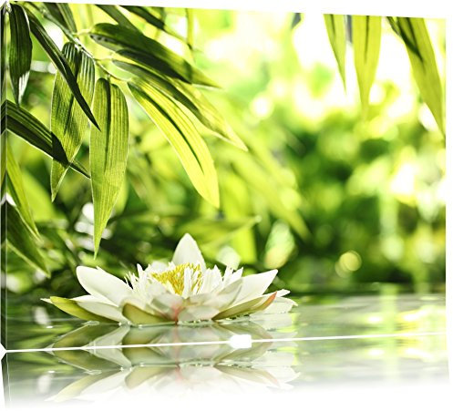 Pixxprint Weiße Seerose im Wasser Wellness, Größe: 80x60cm, Leinwandbild, fertig gespannt, Wandbild, Dekoration, Kunstdruck, kein Poster