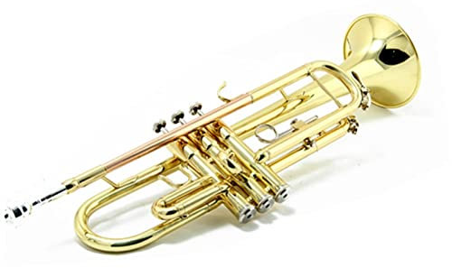 B Plat Trompette Instrument De Musique Phosphore Bronze Chalumeau Laqué Finition Or Trompette Professionnelle Trompette débutant