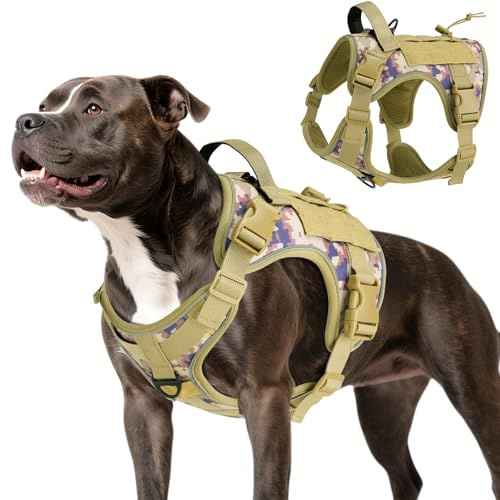 VavoPaw Taktisch Hundegeschirr, Einfach Kontrolle & Anti Zug Hundegeschirr mit Molle Panel und Reflektierend Streifen, Taktisch Weste für Hunde Training, Wandern, Jagd, Outdoor, Wüste Tarnung, M