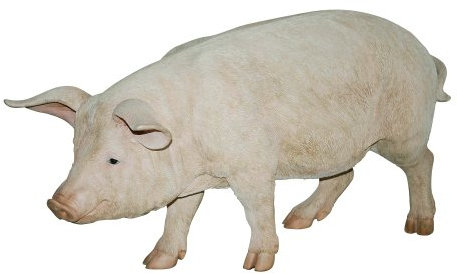 Vivid Arts Real Life Schwein stehend, mittelgroß, Größe D