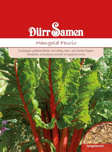 Mangold Samen Feurio Mangoldsamen ca 100 Korn Saatgut Gemüse Balkon Garten Hochbeet Kübel Dürr Samen