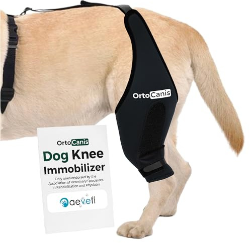 Ortocanis - Kniebandage mit Leckschutz Hund - Knieschiene Rechts Hinterbein - Kreuzbandriss, Kniescheibenluxation und nach Operationen - Speziellem Neopren - Größe: MINI de 14 a 16 cm