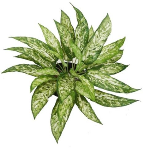 Leaf Artificial Fire Resistant Plants UK