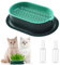 USYSGT Jardinera de Hierba para Gatos, Caja Hidropónica de Hierba para Gatos Bandejas para Brotes de Semillas de Hierba para Gatos Kit de Maceta para Hierba Gatera
