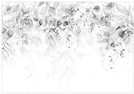 murando Fotomurales Hojas 350x256 cm XXL Papel pintado tejido no tejido Decoración de Pared decorativos Murales moderna Diseno Fotográfico Naturaleza Plantas Gris Como Pintado b-C-0615-a-d