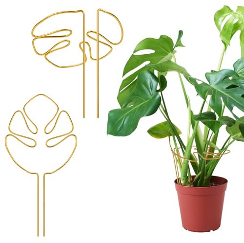 Lot de 2 Supports de Plantes en Aluminium,Support de Plantes Monstera,Supports pour Plantes en Pot,Supports pour Plantes de Jardin pour Tomates, Pivoines, Vigne, Plantes Grimpantes Fleuries