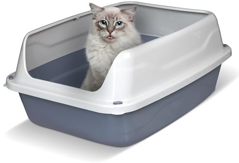 Snugsy Katzenklo Katzentoilette Offen Mit Hohem Rand Ohne Deckel 56 x 39 cm L Grau