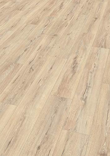 EGGER Home Laminatboden Aqua+ EHL170 Chester Eiche beige (8mm, 1,995m²) | authentische Holzoptik | | Einfache Verlegung durch CLIC It! System | Wasserresistent & feuchtraumgeeignet